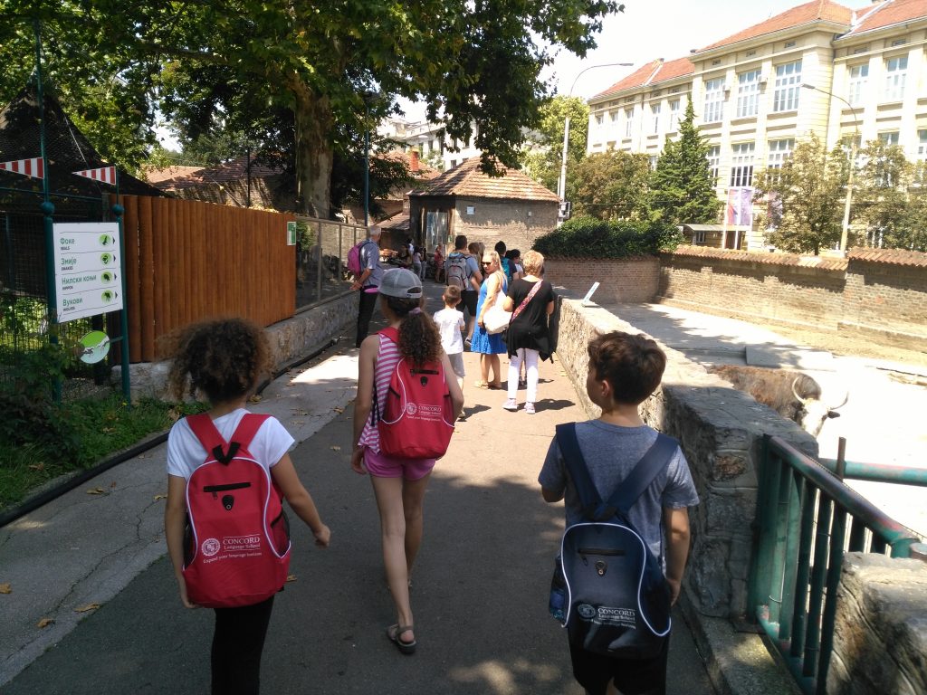 img 20180713 125927